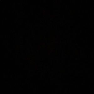 Meet your Posher, Wyatt